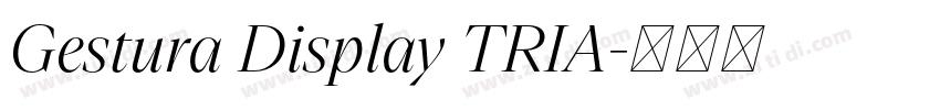 Gestura Display TRIA字体转换 Gestura Display TRIA字体转换